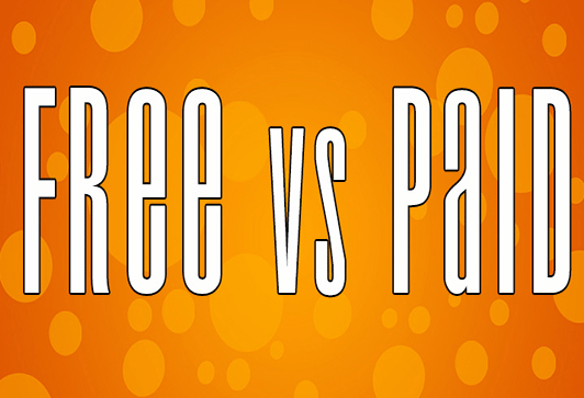 Free vs Paid WordPress Sites